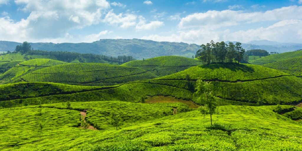 Pleasant Kerala
