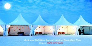 kutch rann utsav 1800-270-8181