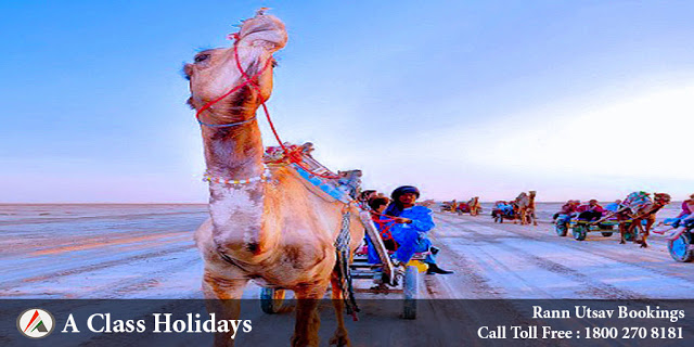 Kutch rann image