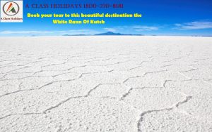 white rann of kutch